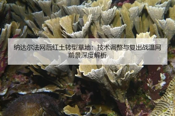 na-da-er-fa-wang-hou-hong-tu-zhuan-xing-cao-di-ji-shu-tiao-zheng-yu-fu-chu-zhan-wen-wang-qian-jing-shen-du-jie-xi-3-461.jpg