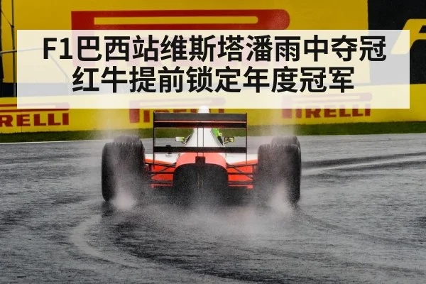 F1巴西站维斯塔潘雨中夺冠红牛提前锁定年度冠军