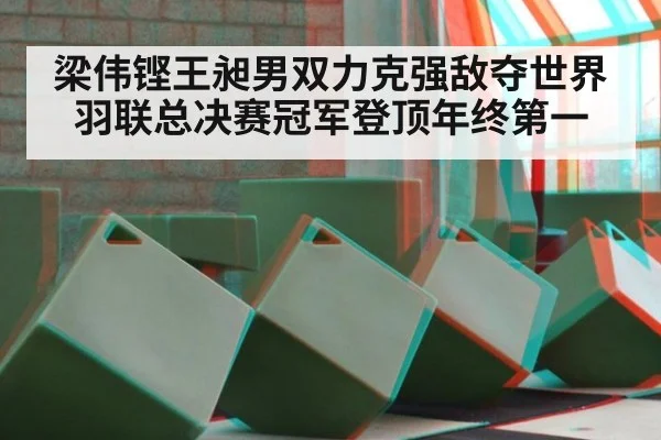 梁伟铿王昶男双力克强敌夺世界羽联总决赛冠军登顶年终第一